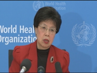 Selected frame from video story 
GENEVA / CHAN
	