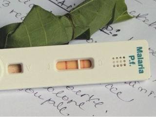 Click to watch UN / MALARIA GUIDELINES (01:03). On United Nations channel